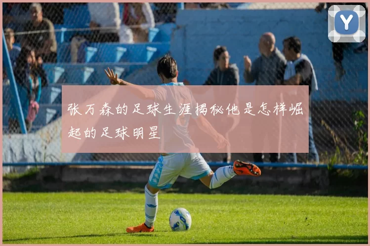 张万森的足球生涯揭秘他是怎样崛起的足球明星