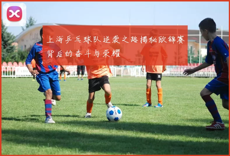 上海乒乓球队逆袭之路揭秘欧锦赛背后的奋斗与荣耀