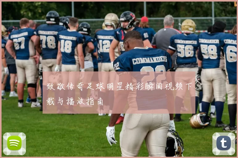 致敬传奇足球明星精彩瞬间视频下载与播放指南