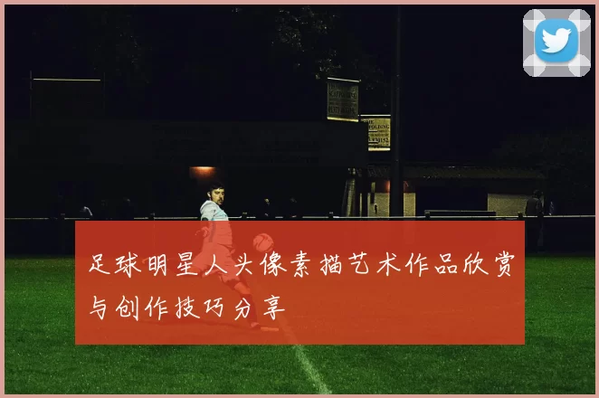 足球明星人头像素描艺术作品欣赏与创作技巧分享