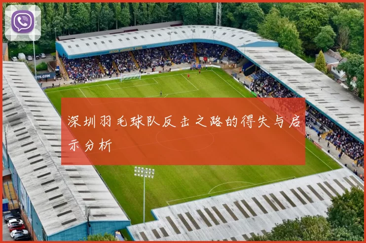 深圳羽毛球队反击之路的得失与启示分析