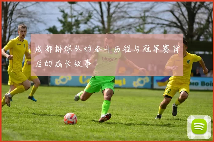 成都排球队的奋斗历程与冠军赛背后的成长故事