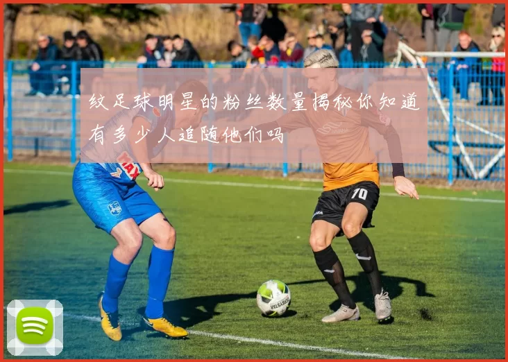 纹足球明星的粉丝数量揭秘你知道有多少人追随他们吗