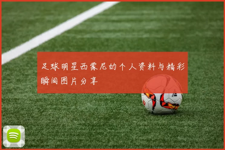 足球明星西蒙尼的个人资料与精彩瞬间图片分享