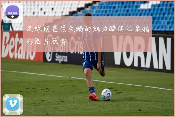 足球明星黑天鹅的魅力瞬间汇聚精彩图片欣赏