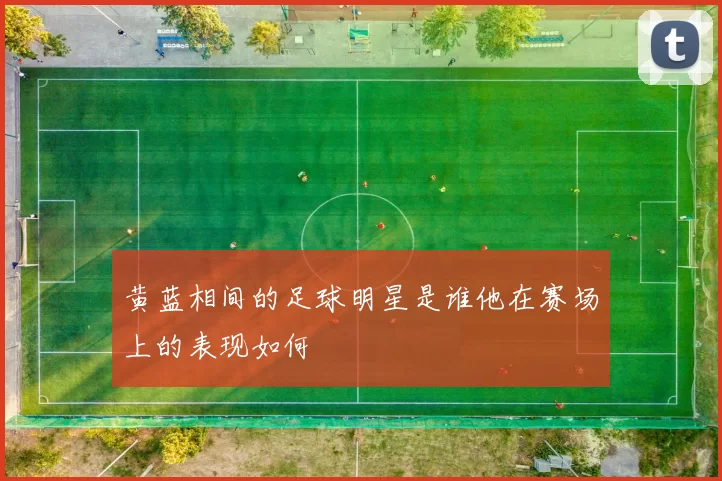 黄蓝相间的足球明星是谁他在赛场上的表现如何