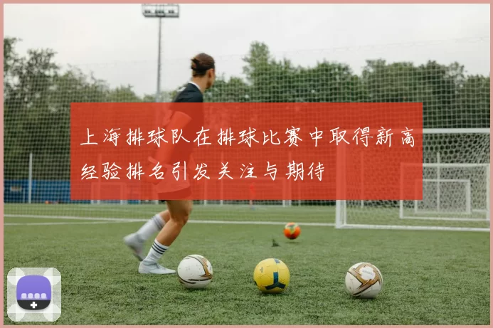 上海排球队在排球比赛中取得新高经验排名引发关注与期待