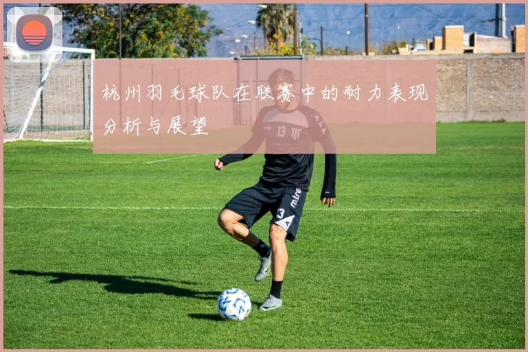 杭州羽毛球队在联赛中的耐力表现分析与展望