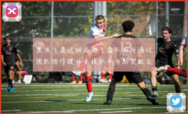 聚焦飞盘运动成都飞盘队如何通过团队协作提升竞技水平与默契配合
