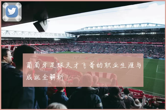 葡萄牙足球天才飞哥的职业生涯与成就全解析