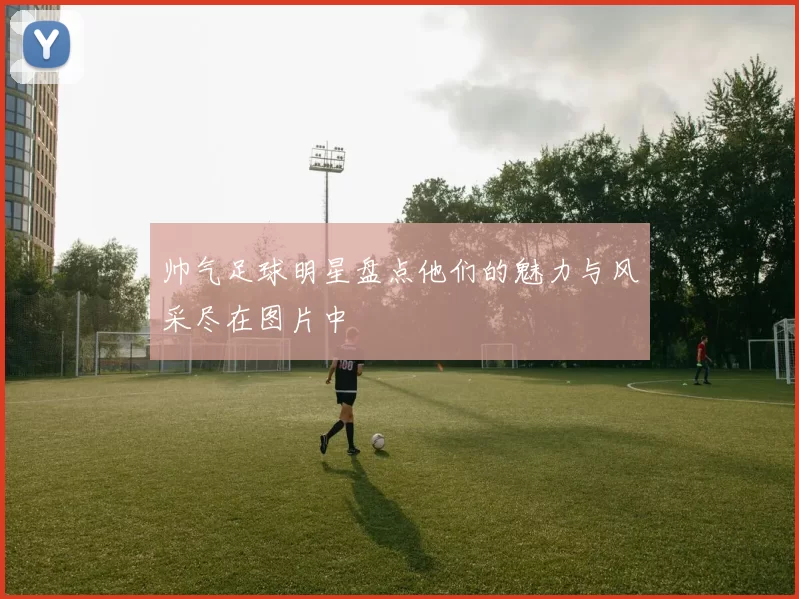 帅气足球明星盘点他们的魅力与风采尽在图片中