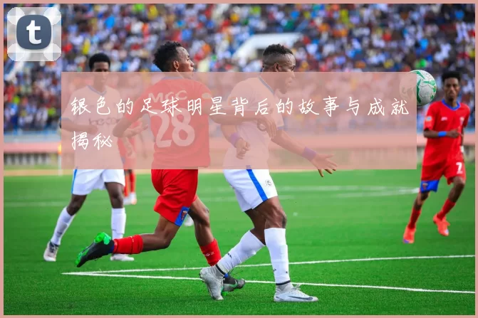 银色的足球明星背后的故事与成就揭秘