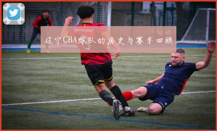 辽宁CBA球队的历史与赛季回顾