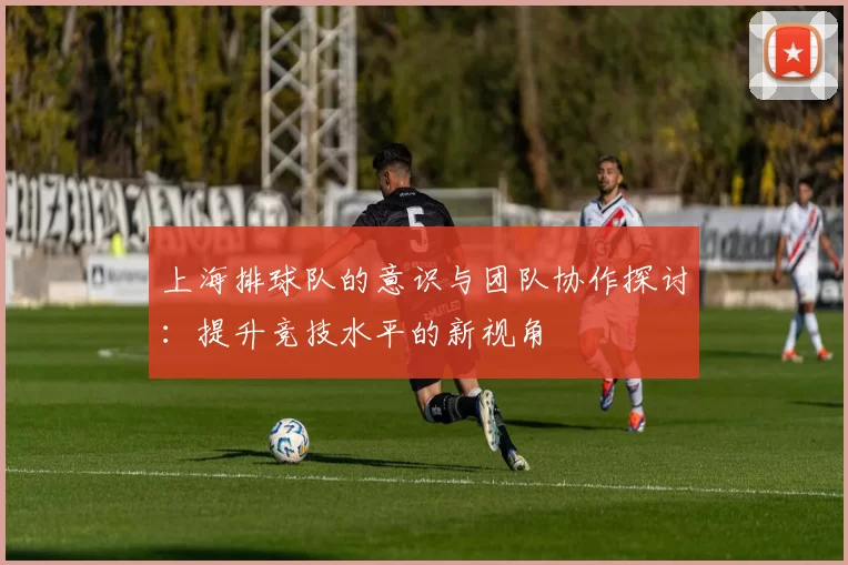 上海排球队的意识与团队协作探讨：提升竞技水平的新视角