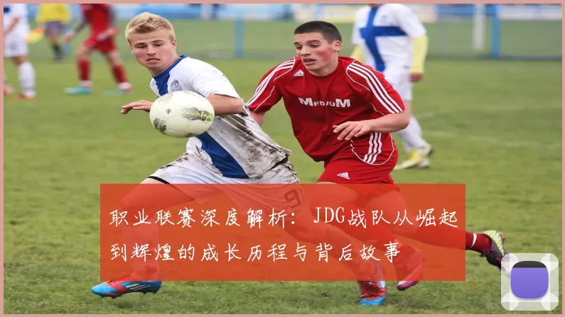 职业联赛深度解析：JDG战队从崛起到辉煌的成长历程与背后故事