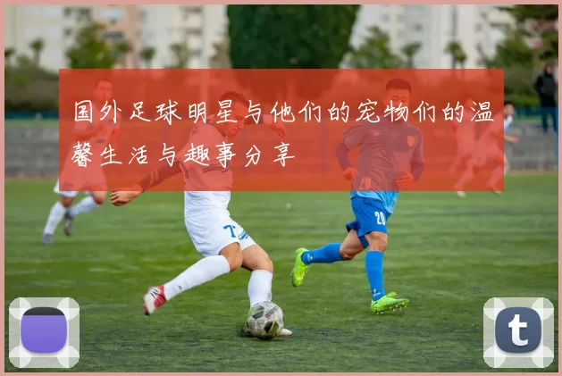 国外足球明星与他们的宠物们的温馨生活与趣事分享
