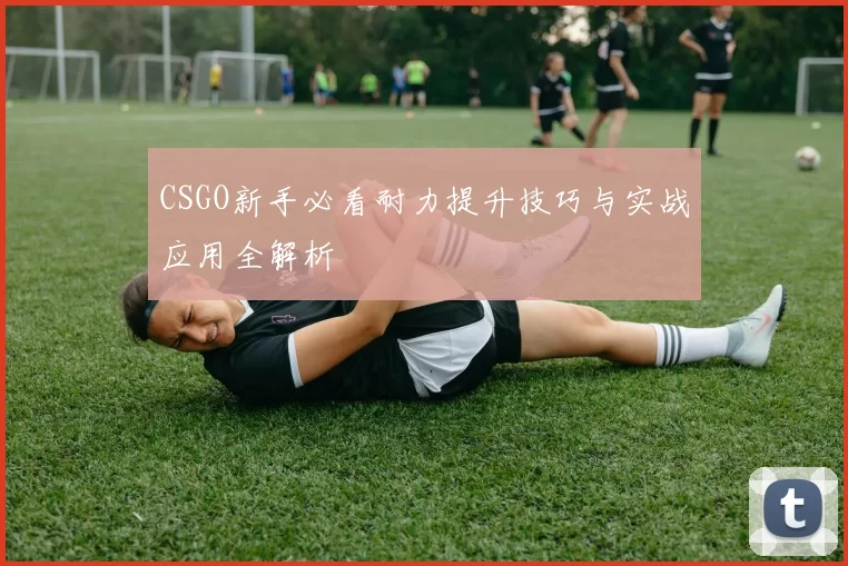 CSGO新手必看耐力提升技巧与实战应用全解析