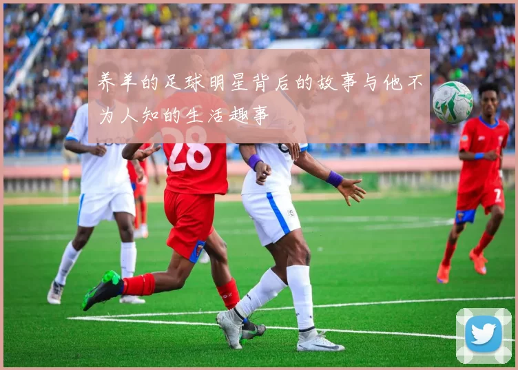 养羊的足球明星背后的故事与他不为人知的生活趣事
