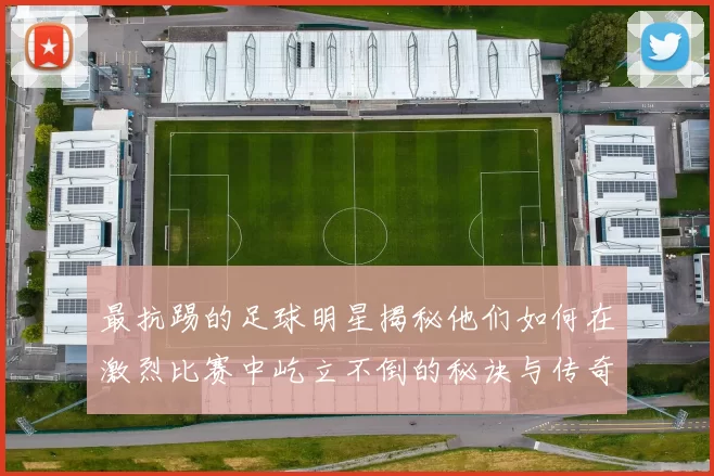 最抗踢的足球明星揭秘他们如何在激烈比赛中屹立不倒的秘诀与传奇故事